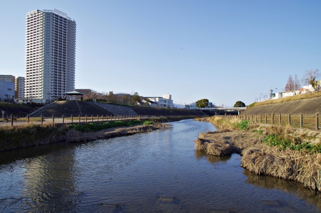 寝屋川市大谷町のメイン画像