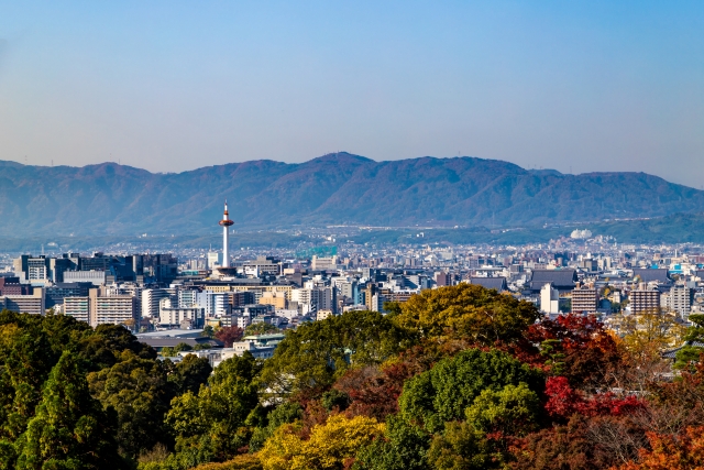 京田辺市松井交野ケ原のメイン画像