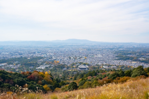 桜井市大字下り尾の土地情報と生活おすすめ情報