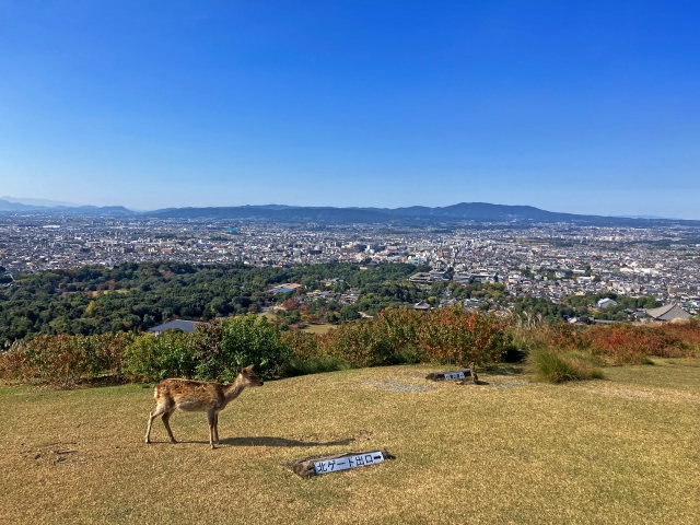 橿原市五井町のメイン画像