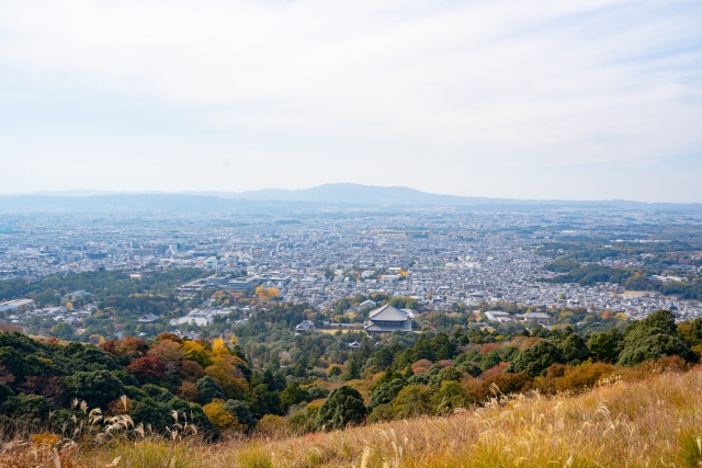 大和高田市西三倉堂二丁目のメイン画像