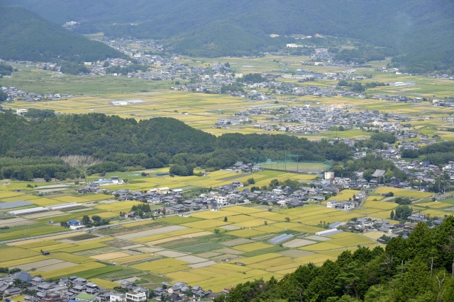 木津川市南加茂台八丁目のメイン画像