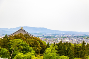 桜井市大字豊田の土地情報と暮らし