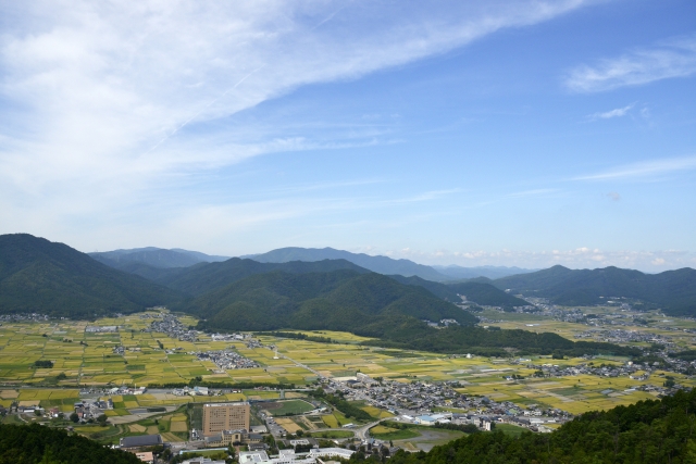 京田辺市草内坊田のメイン画像