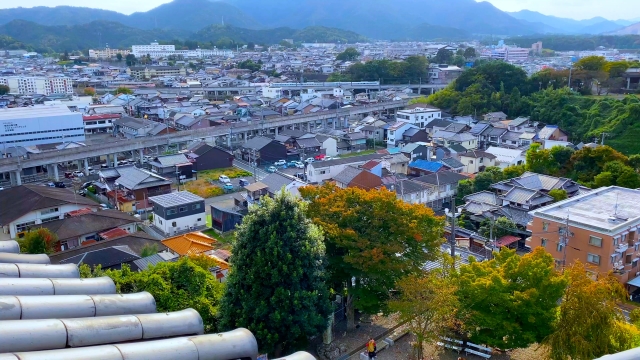 相楽郡和束町大字南のメイン画像