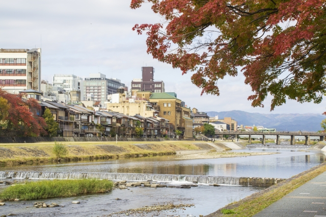 京田辺市興戸若宮のメイン画像